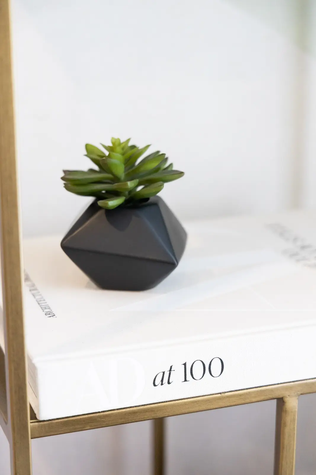 Brass shelf in a Richmond Hill townhouse, with a small plant and a book