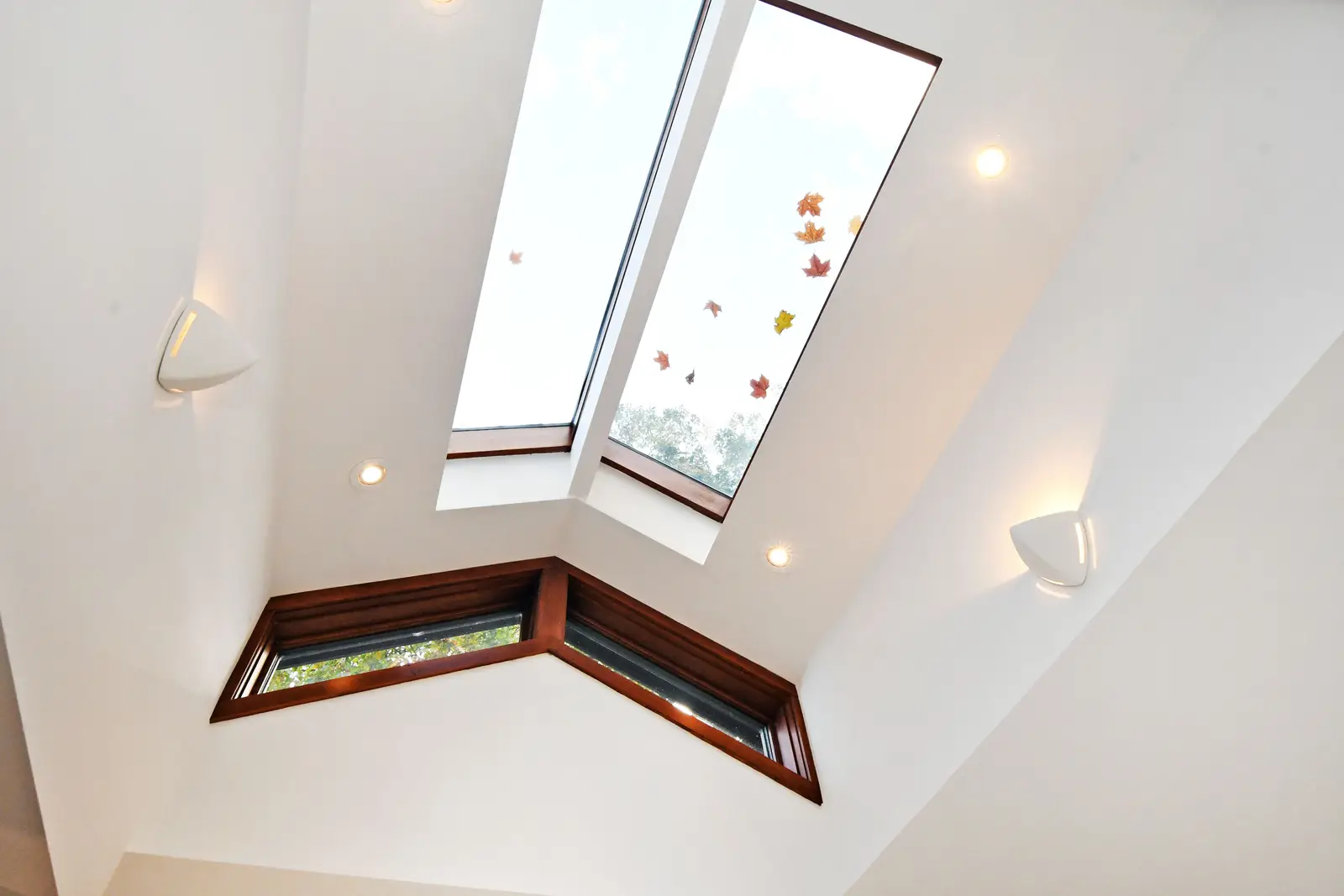 Interior of a house on Plymbridge Road in North York, with wood floors, a white kitchen, and windows onto the trees.
