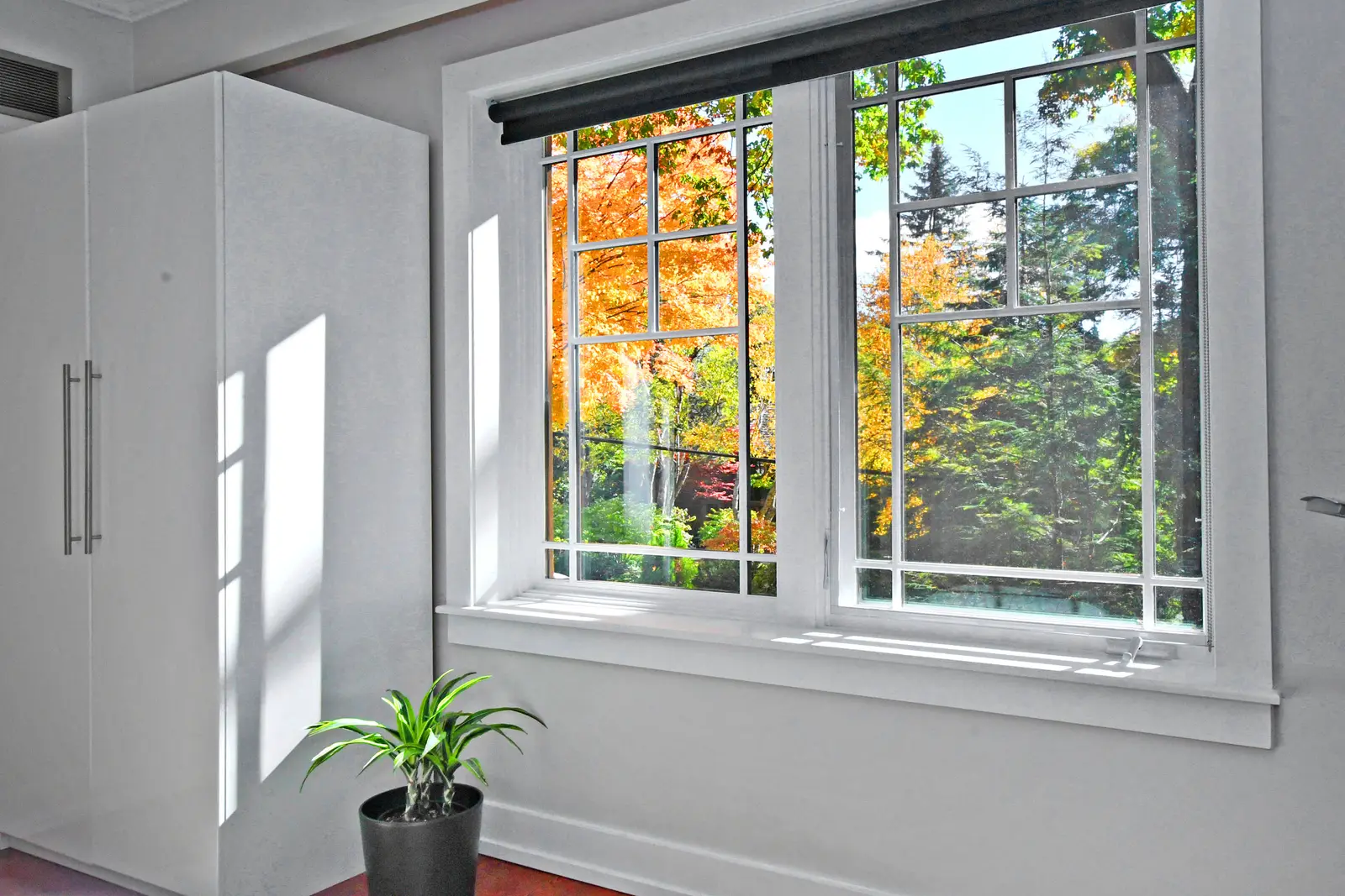 Interior of a house on Plymbridge Road in North York, with wood floors, a white kitchen, and windows onto the trees.
