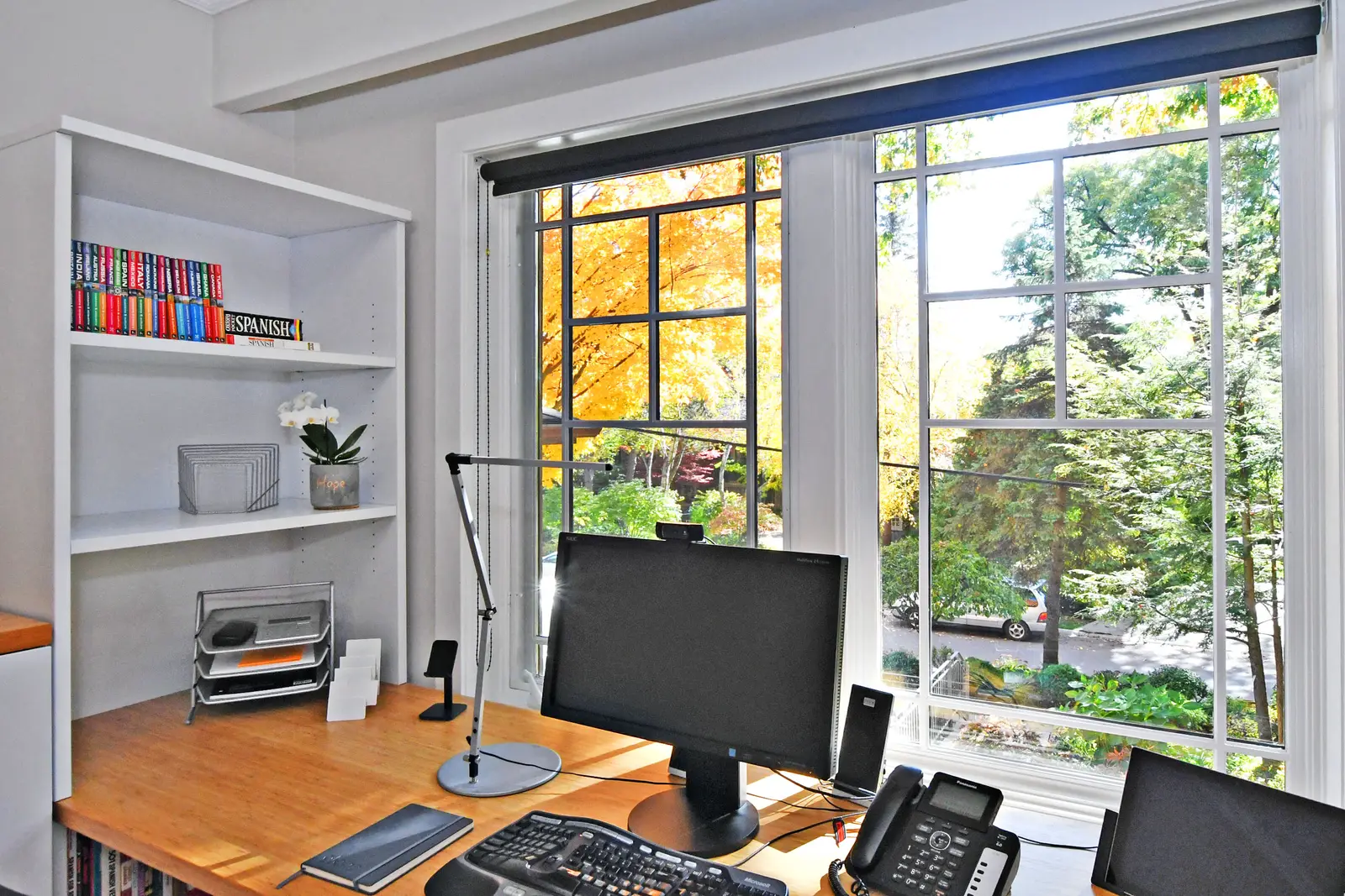 Interior of a house on Plymbridge Road in North York, with wood floors, a white kitchen, and windows onto the trees.