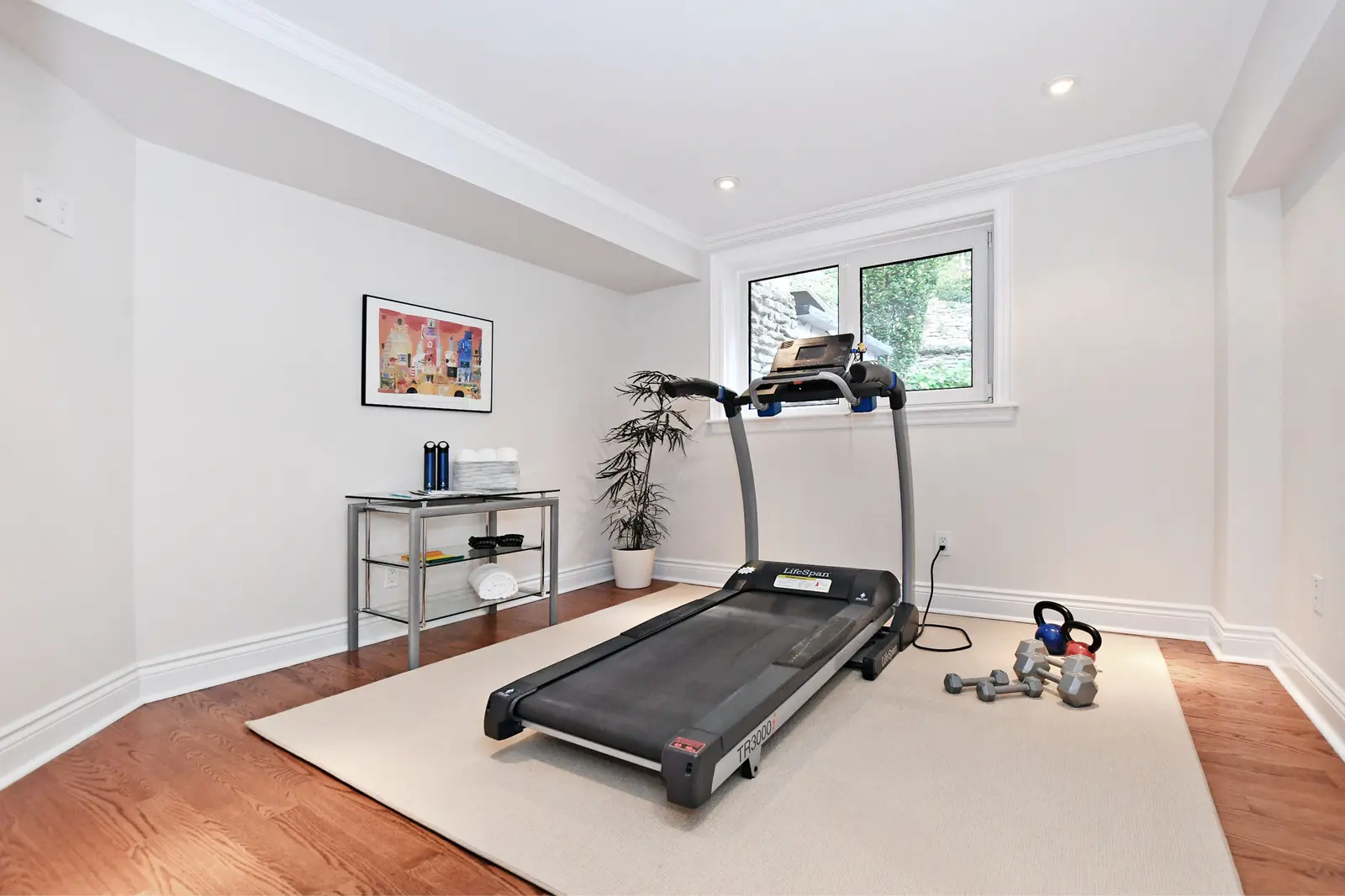 Interior of a house on Plymbridge Road in North York, with wood floors, a white kitchen, and windows onto the trees.